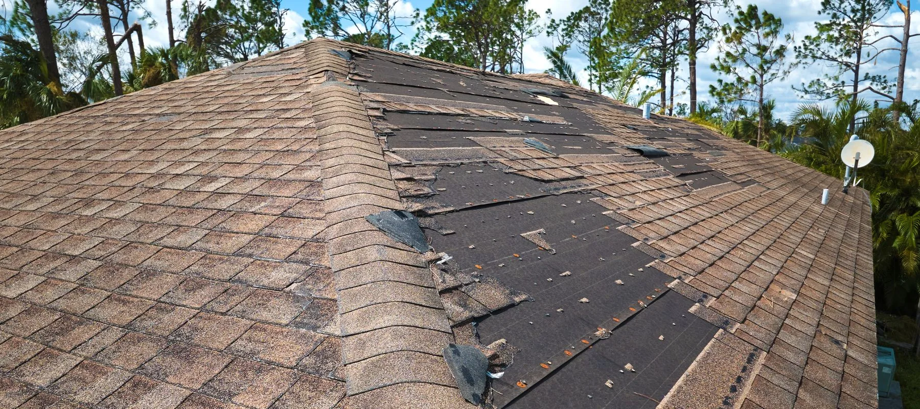 A house roof with many missing and damaged shingles, exposing the black underlayment beneath. Surrounding the roof are tall trees and a cloudy sky.